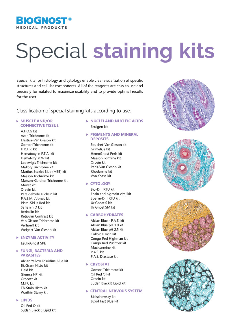 Biognost Special Staining Kits