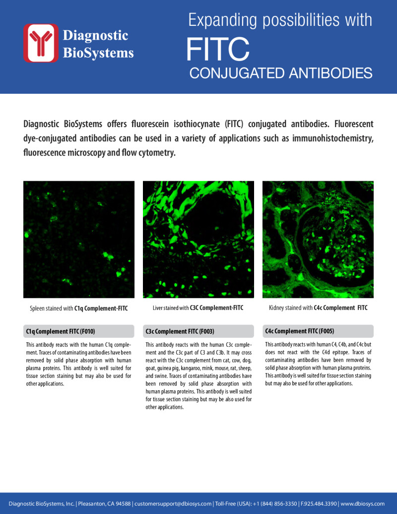 Dbs Fitc Conjugated Antibodies