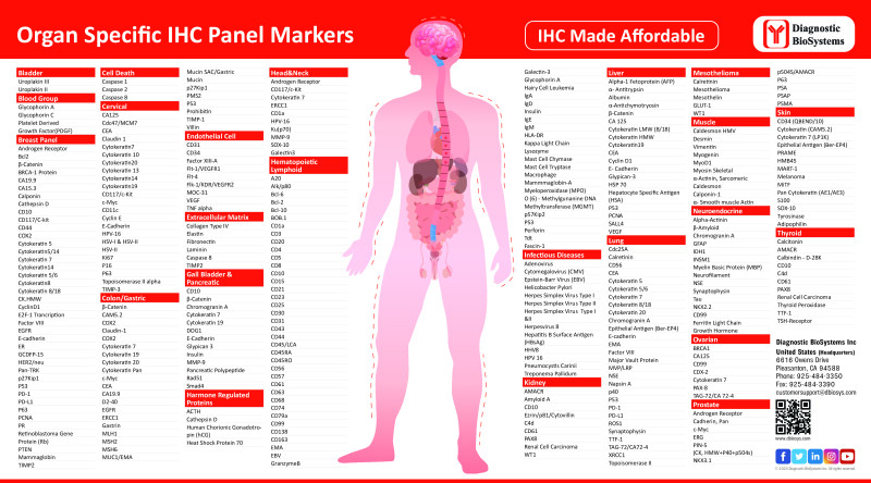 Dbs Organ Specific Ihc Panel Markers