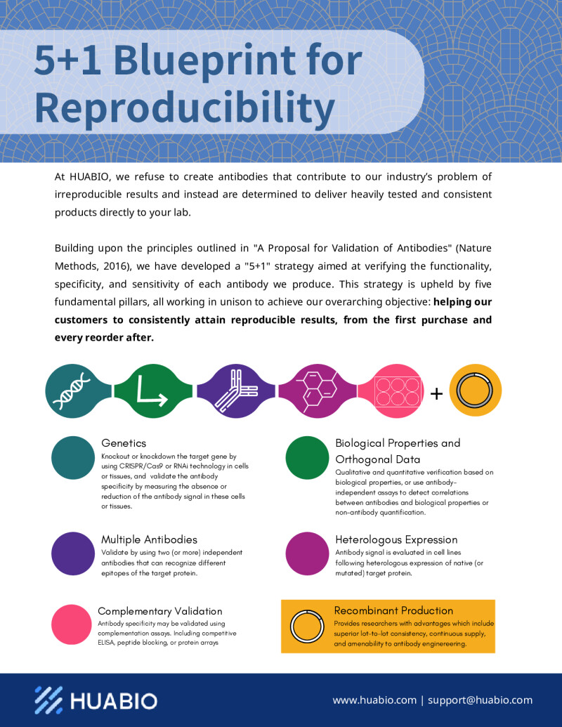 Huabio 5 Plus 1 Blueprint For Reproducibility