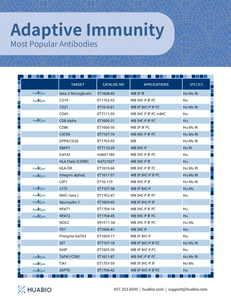 Huabio Adaptive Immunity Antibodies
