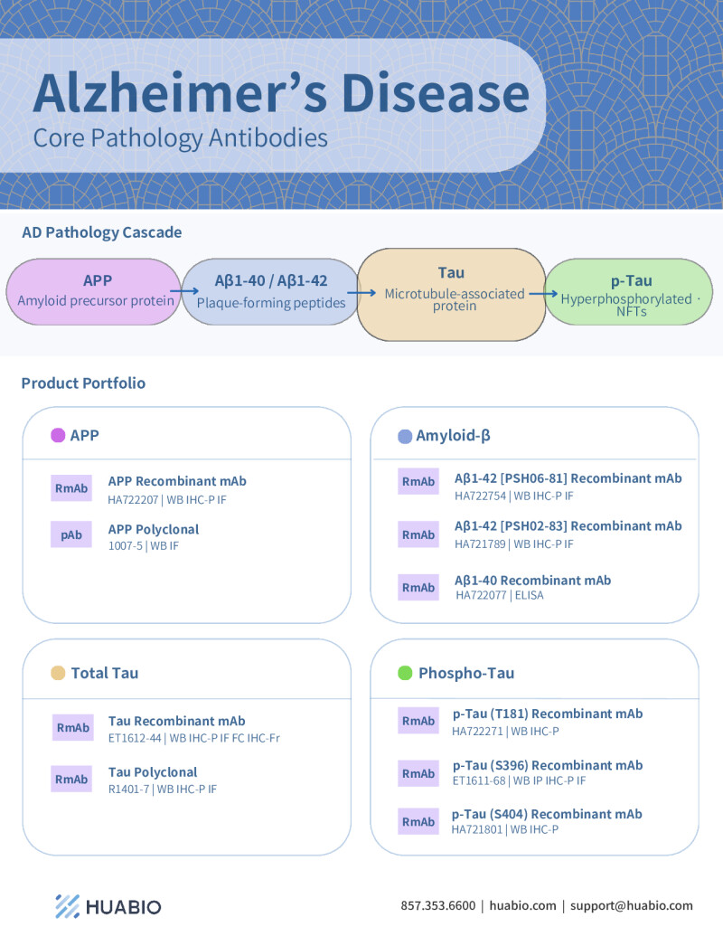 Huabio Alzheimers Disease Core Pathology Antibodies