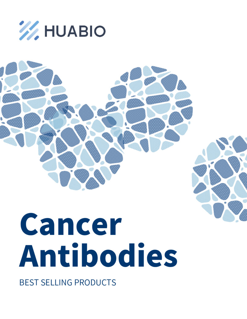 Huabio Cancer Antibodies