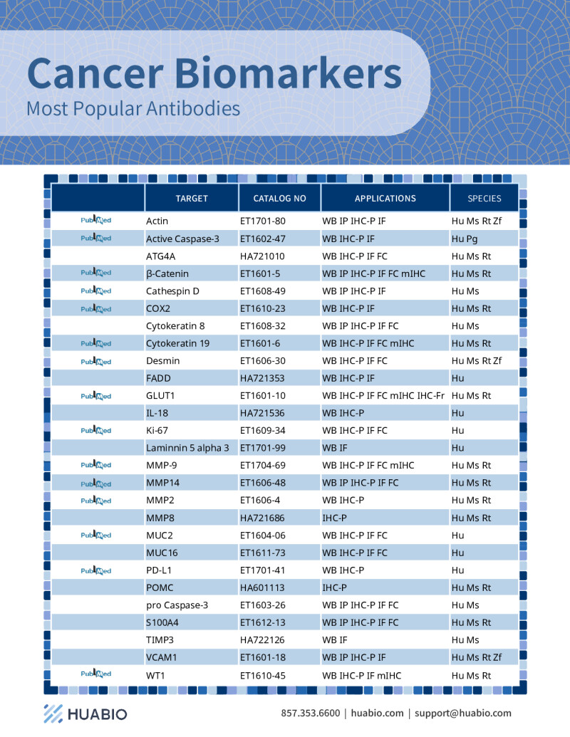 Huabio Cancer Biomarker Antibodies