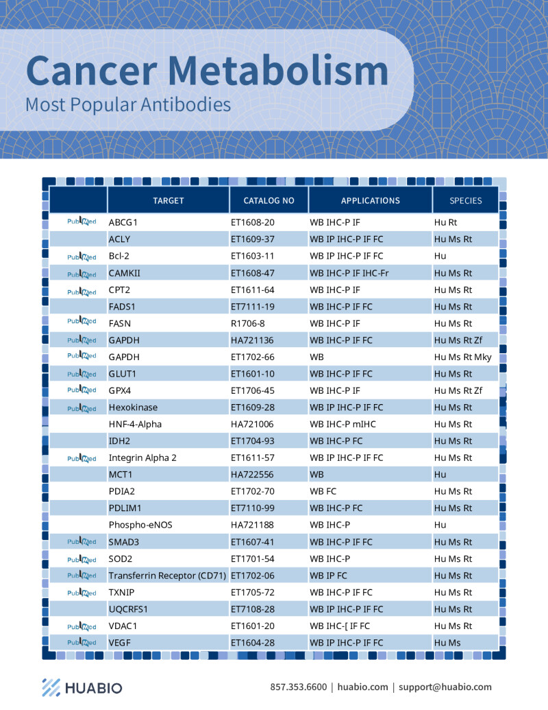 Huabio Cancer Metabolism Antibodies