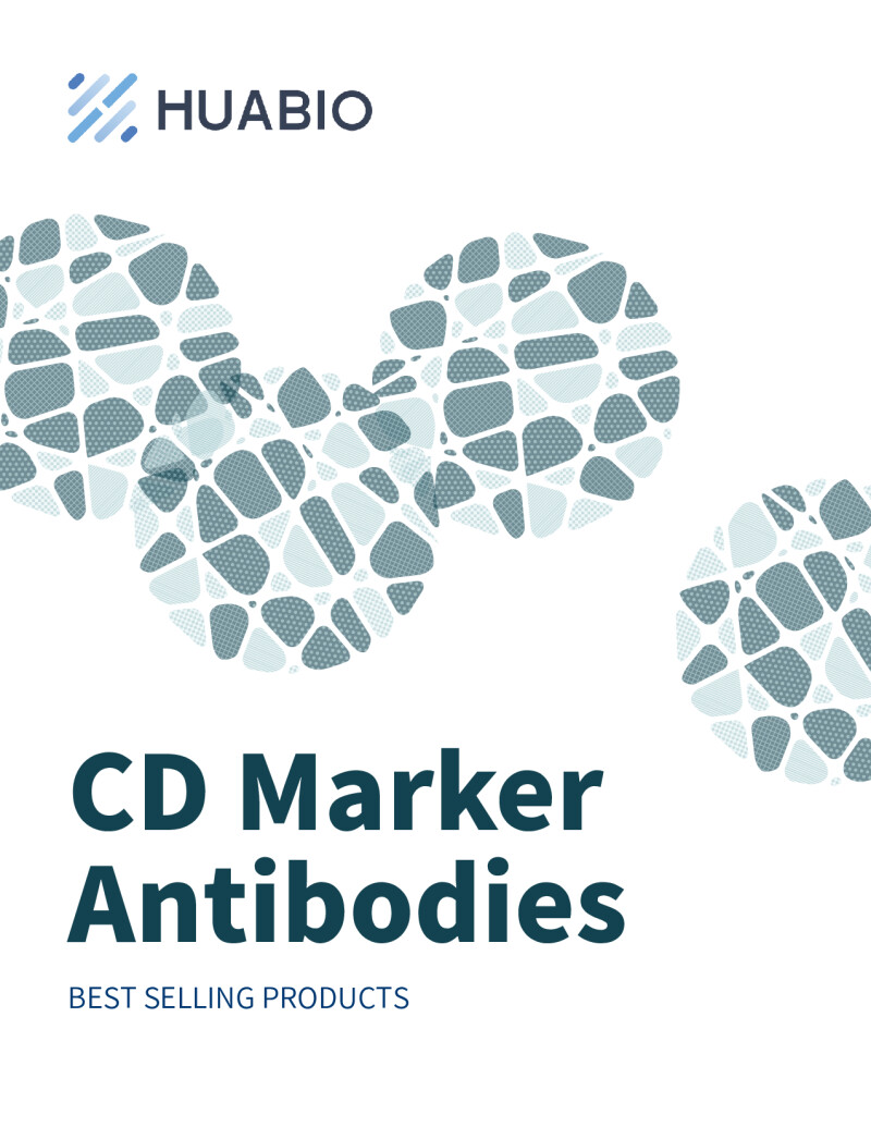 Huabio Cd Marker Antibodies