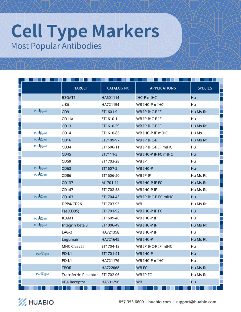 Huabio Cell Type Marker Antibodies