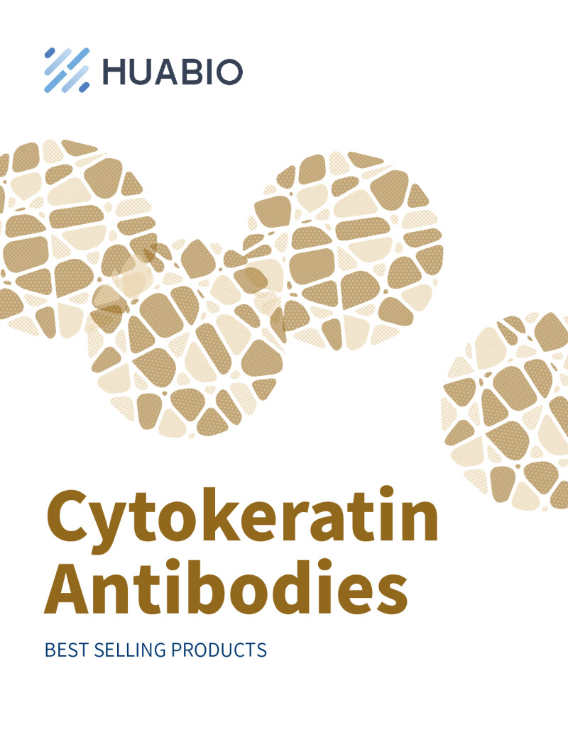 Huabio Cytokeratin Antibodies