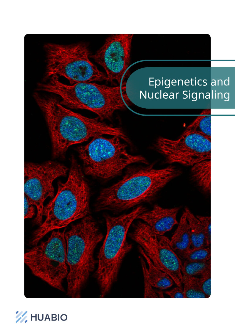 Huabio Epigenetics And Nuclear Signaling