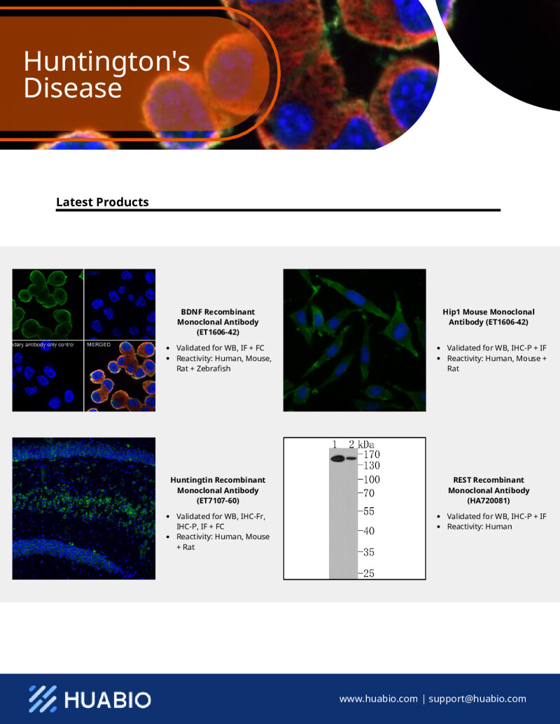 Huabio Huntingtons Disease