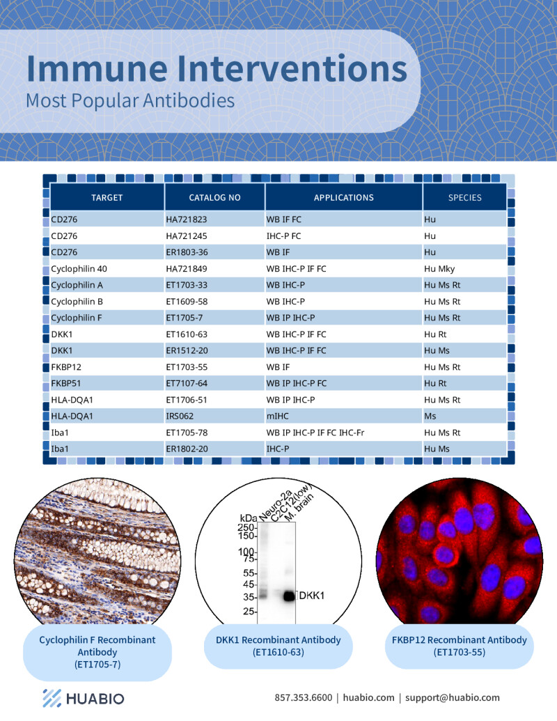 Huabio Immune Interventions Antibodies