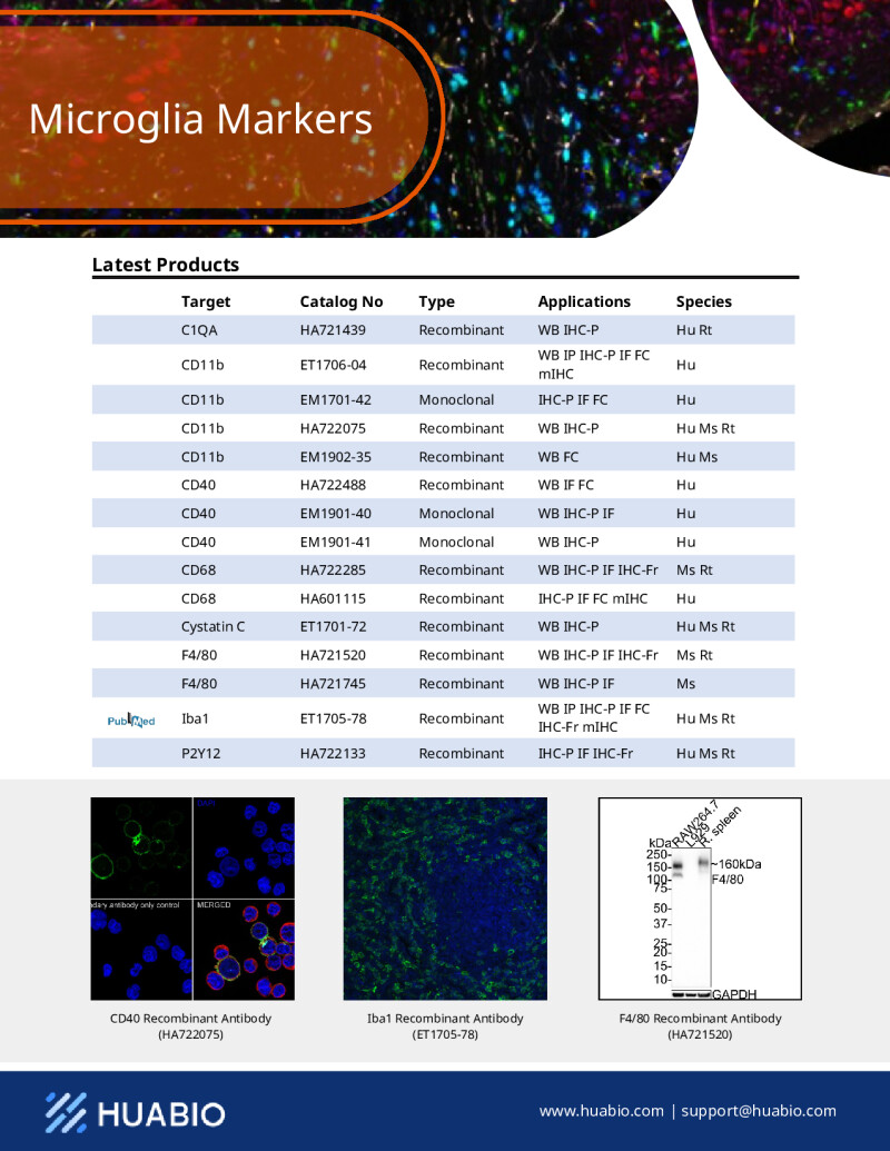 Huabio Microglia Markers