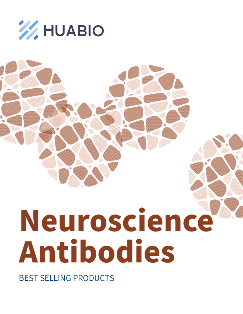 Huabio Neuroscience Antibodies