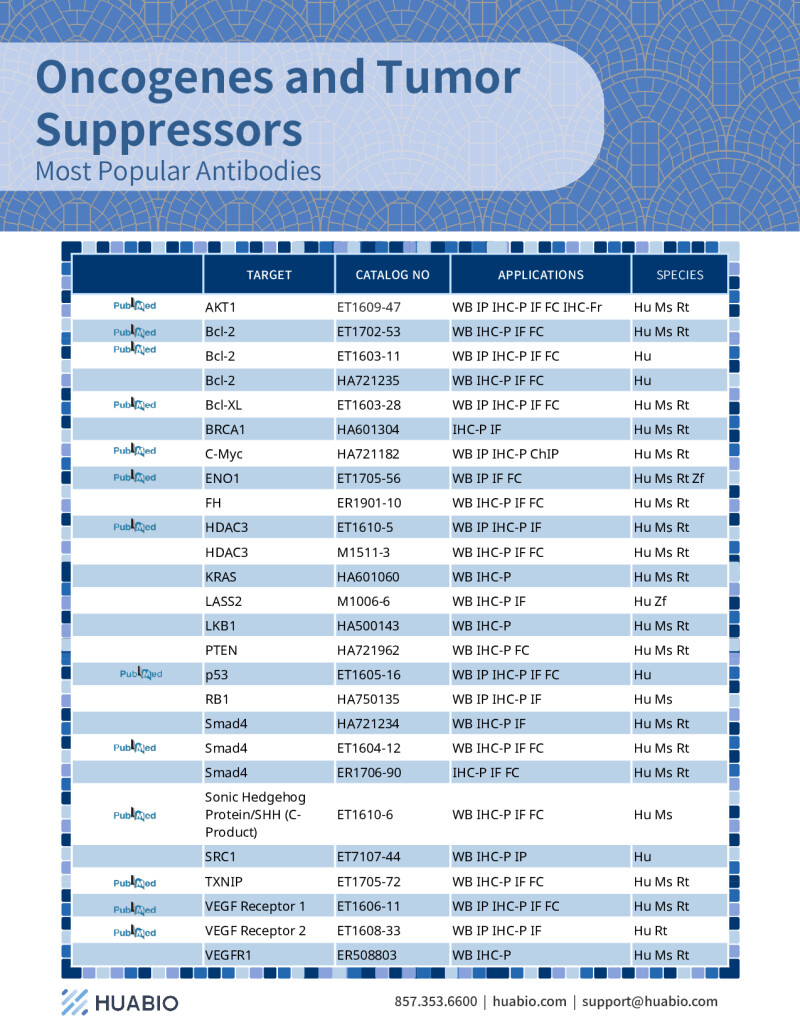 Huabio Oncogenes Tumor Suppressor Antibodies