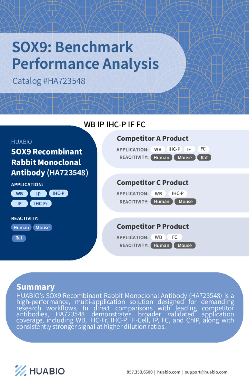 Huabio Sox9 Ha723548 Benchmark Performance Analysis