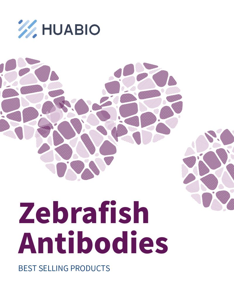 Huabio Zebrafish Antibodies