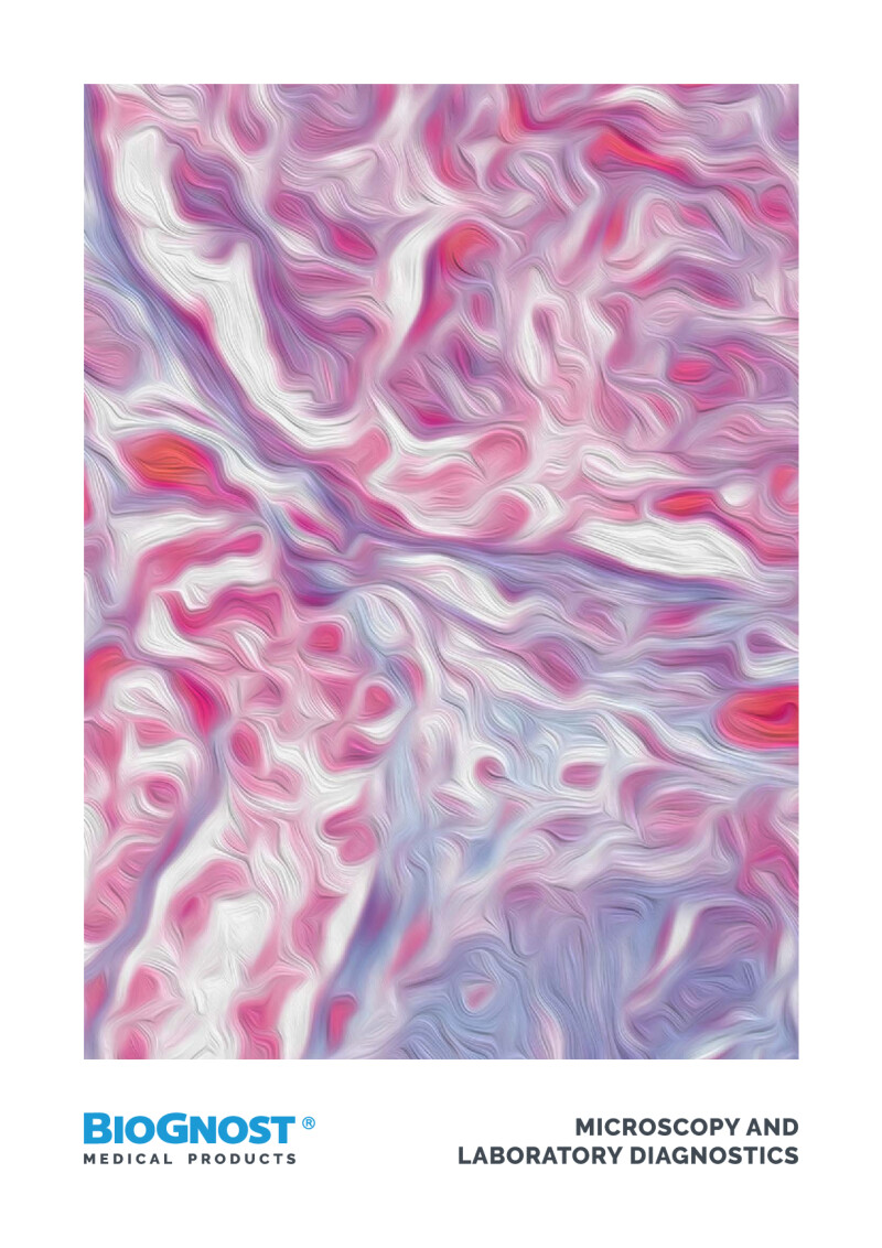Biognost Microscopy And Laboratory Diagnostics Catalog