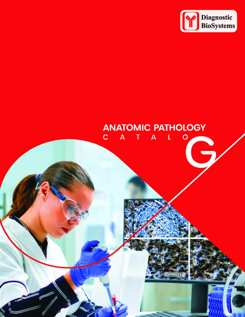 Dbs Anatomic Pathology Catalog 2026
